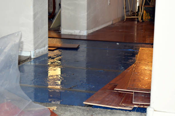 Professional Water Damage technician working in Finley, WA