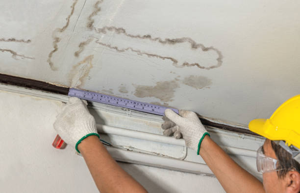 Reliable Water Damage contractor in Finley, WA by Water Damage Irwin